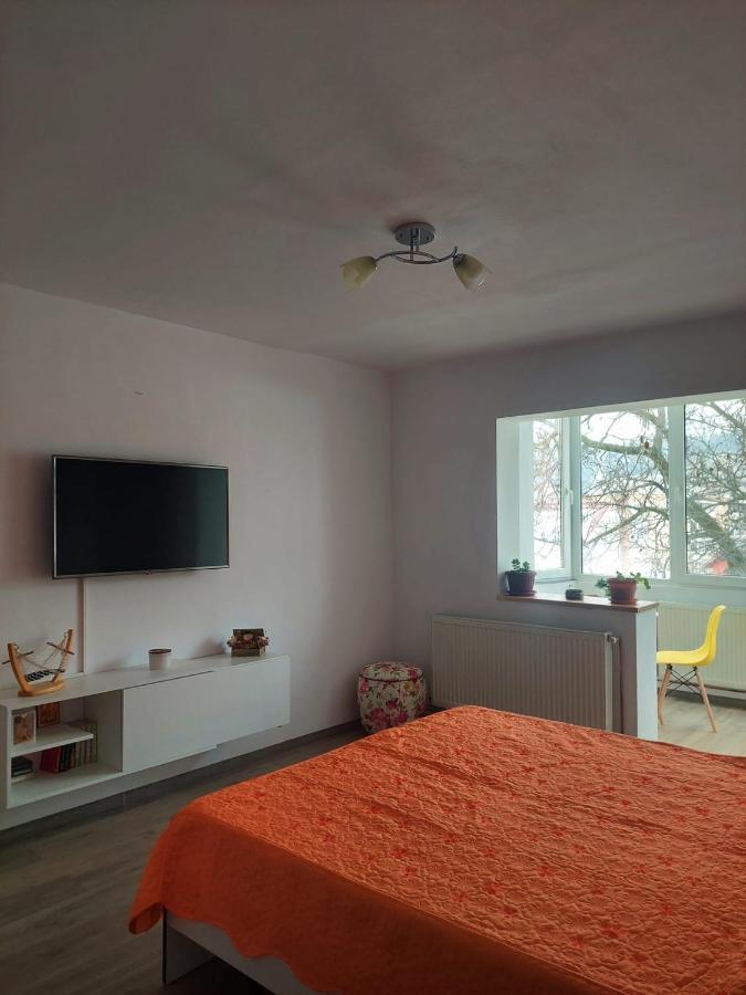 Apartament Spatios In Brasov Exterior photo