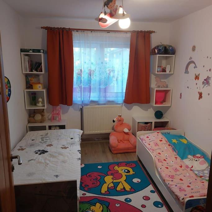 Apartament Spatios In Brasov Exterior photo